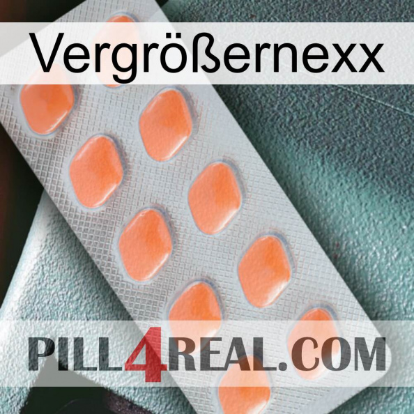 Vergrößernexx 26